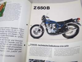 Kawasaki Grand Tourisme Klasse 650, 750, 1000, 1300 -myyntiesite
