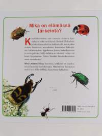 Kimalaiskuoriainen löytää vastauksen