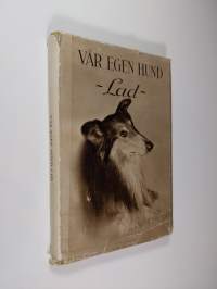 Vår egen hund (&quot;Lad&quot;)