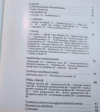 Posliininmaalaus harrastuksena