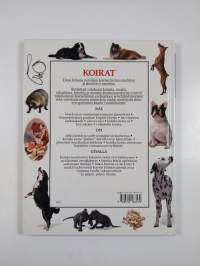 Koirat
