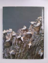 How Birds Live