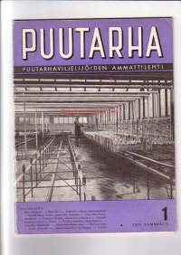 Puutarha no 1 1955