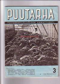 Puutarha no 3 1955