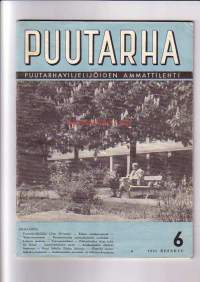 Puutarha no 6 1955