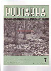 Puutarha no 7 1955