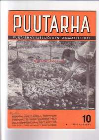 Puutarha no 10 1955