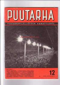 Puutarha no 12 1955