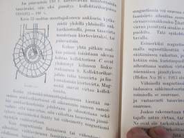 Sähkökoneet - viat, hoito, kytkeminen ja tehon laskeminen (Tietoja sähköalalta. III vihko)