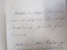 Заграничный паспортъ - Matkapassi ulkomaille - Pass för utrikesresa - Reisepass für das Ausland, fil. kand Arnold Nordling sekä vaimo Anna, 21.6.1912, Helsinki