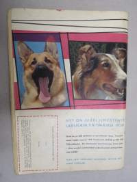 Rin Tin Tin 1960 nr 2 -sarjakuvalehti