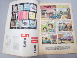 Rin Tin Tin 1960 nr 3 -sarjakuvalehti