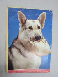 Lassie 1958 nr 7 -sarjakuvalehti