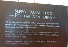 Poutapilven poika (Seppo Tammilehto)