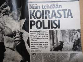 Hymy 1983 nr 19, Alamaailman kosto Reijo Hammarille - häät Sörkassa - 3 miestä raiskasi vaimon, Bror Wahlroos - viinaa ja naisia,Ville Virtanen &amp; Eija Vilpas...