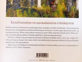 Kanalinnustus