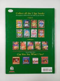 I Spy Year Round Challenger: A Book of Picture Riddles