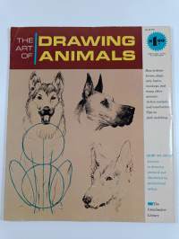 Drawing animals