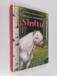 Tallilla tapahtuu, Sinttu