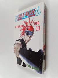 Bleach, 11 - Star and a stray dog