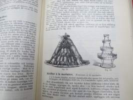 Kok-Konsten som vetenskap och konst med särskildt afseende på Hälsolärans och Ekonomiens fordringar, 1896, med inemot 3000 recept, 349 afbildningar