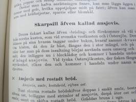 Kok-Konsten som vetenskap och konst med särskildt afseende på Hälsolärans och Ekonomiens fordringar, 1896, med inemot 3000 recept, 349 afbildningar