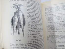 Kok-Konsten som vetenskap och konst med särskildt afseende på Hälsolärans och Ekonomiens fordringar, 1896, med inemot 3000 recept, 349 afbildningar