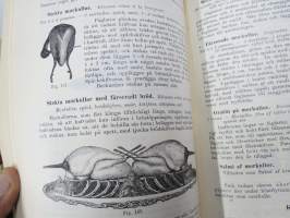 Kok-Konsten som vetenskap och konst med särskildt afseende på Hälsolärans och Ekonomiens fordringar, 1896, med inemot 3000 recept, 349 afbildningar