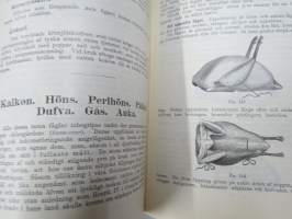 Kok-Konsten som vetenskap och konst med särskildt afseende på Hälsolärans och Ekonomiens fordringar, 1896, med inemot 3000 recept, 349 afbildningar