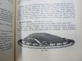 Kok-Konsten som vetenskap och konst med särskildt afseende på Hälsolärans och Ekonomiens fordringar, 1896, med inemot 3000 recept, 349 afbildningar