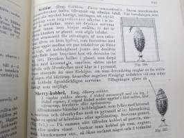 Kok-Konsten som vetenskap och konst med särskildt afseende på Hälsolärans och Ekonomiens fordringar, 1896, med inemot 3000 recept, 349 afbildningar