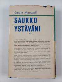 Saukkoystäväni