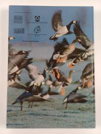 Goose populations of the Western Palearctic : a review of status and distribution