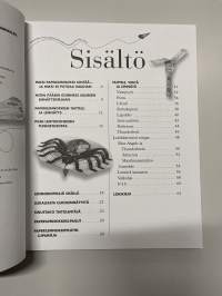 Lasten paperilennokkikirja, sivuja n. 90