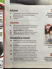 Apu 2014 nr 52 Heidi Herala: Ensimmäinen joulu ilman äitiä, korukivet