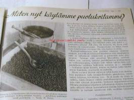 Kotiliesi 1933 nr 11 Kansikuva Rudolf Koivu