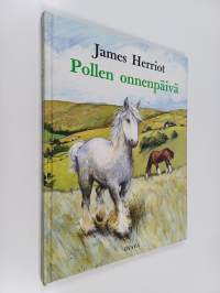 Pollen onnenpäivä