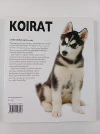 Koirat : löydä itsellesi sopiva rotu