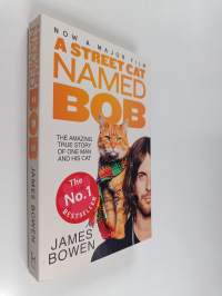 A street cat named Bob - Amazing true story of one man and his cat