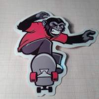 Skate tarra. 6