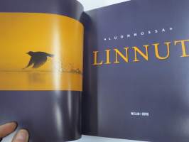 Linnut luonnossa 1-3 -kirjasarja