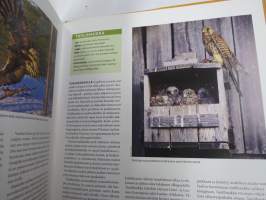 Linnut luonnossa 1-3 -kirjasarja
