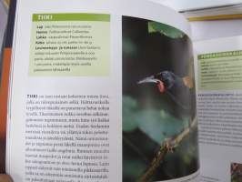 Linnut luonnossa 1-3 -kirjasarja