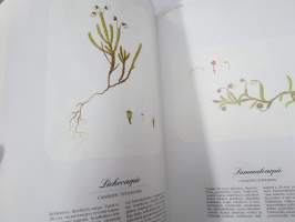 Flora - Suomen suurkasvio 1-2