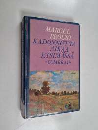Kadonnutta aikaa etsimässä 1, Swannin tie : Combray
