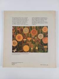 Flower painting