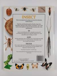 Insect : Discover the busy and intriguing world of insects - Their structure, life-history and fascinating variety