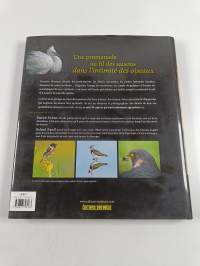 Portraits d&#039;oiseaux