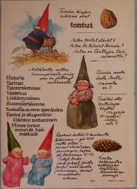 Suuri tonttukirja.  ( Nuorten kirjallisuus, sadut )