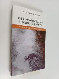Jos kohtaat matkallasi Buddhan, tapa hänet! : psykoterapeuttinen pyhiinvaellus